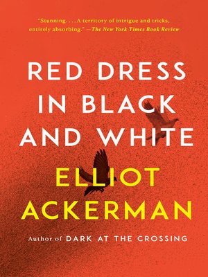 cover image of Red Dress in Black and White